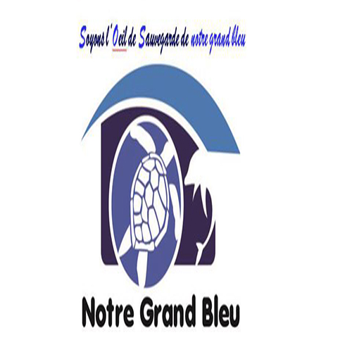 L&rsquo;Association « Notre grand bleu » recrute un directeur de projet