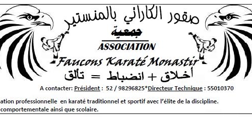 Association Faucons  Karaté