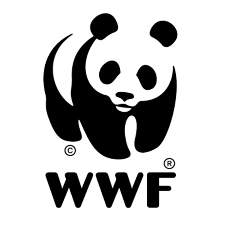 Un(e) Expert(e) Senior en Droit Forestier et Développement des Capacités Institutionnelles-WWF