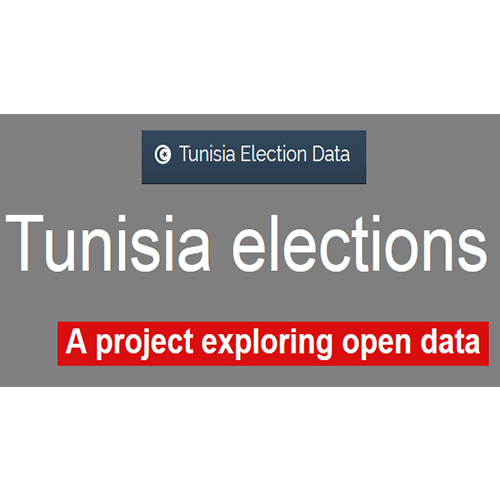 Soutenir l&rsquo;innovation dans la surveillance des élections dans le Moyen-Orient et Afrique du Nord
