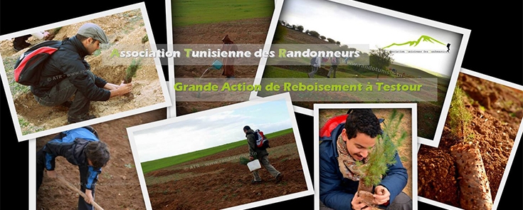 Grande Action de Reboisement à Testour