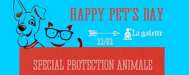 Un geste pour la protection animale : HAPPY PETS DAY, le 22 février !