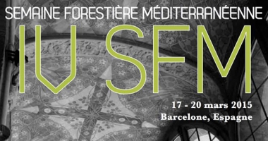Collaboration forestière, le peuple y est !