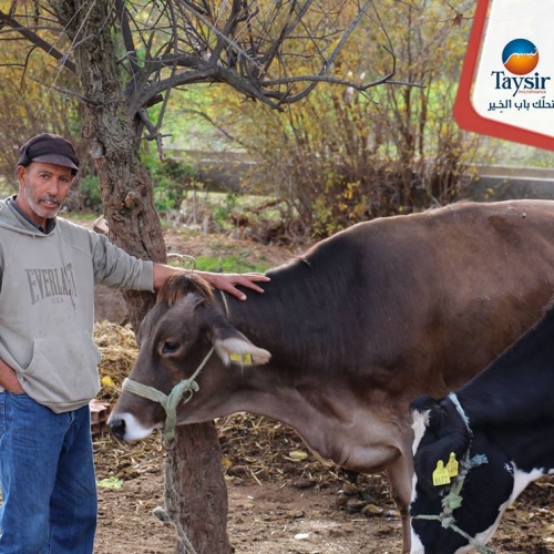 12920431_920075958112264_197268329431677833_n