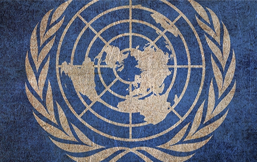 Apply to 10-member multi-stakeholder Advisory Group for the UN inter-agency task team on science, technology and innovation for the SDGs