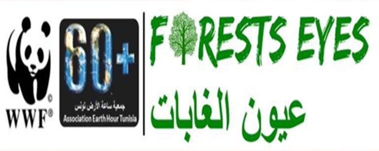 Campagne Forest Us 2015