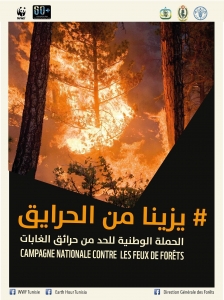 11216520_792743054172647_7045922755943553450_o