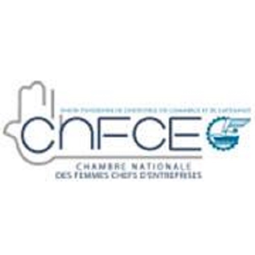 Les JFE en partenariat avec la chambre Nationale des femmes chefs d&rsquo;Entreprises lance un appel à candidatures pour les jeunes femmes porteuses de projets