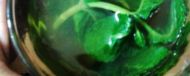 Quatorzième Mercredi des Associations : Santé