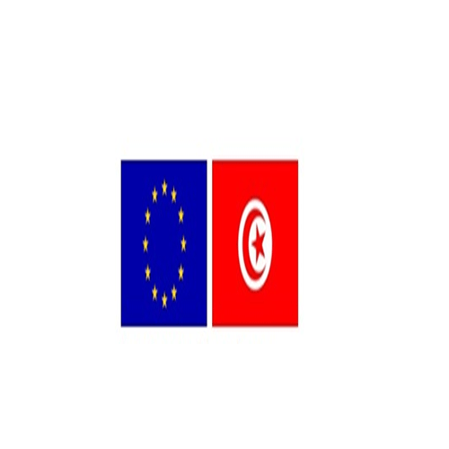 Appel à Contribution pour une stratégie Tunisienne aux Politiques de voisinages de l&rsquo;Union Européenne