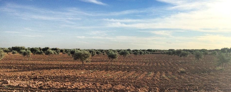 [Chantier solidaire ] 3 Jours pour grandir !