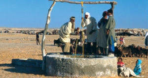 tn-nomaden-am-brunnen-2009_rdax_380x201_100