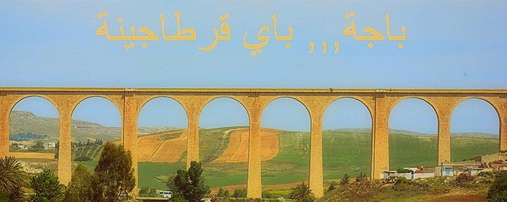 باجي و حلو ,,, و زادوه قرطاجينة !