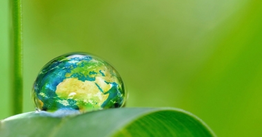 Citoyen tu es , Écocitoyen tu deviendras !