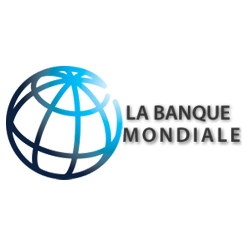 Consultant-Banque Mondiale