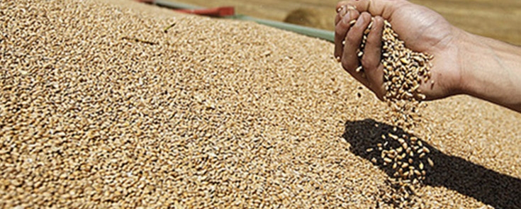 SEMINAIRE ENPARD-Méditerranée