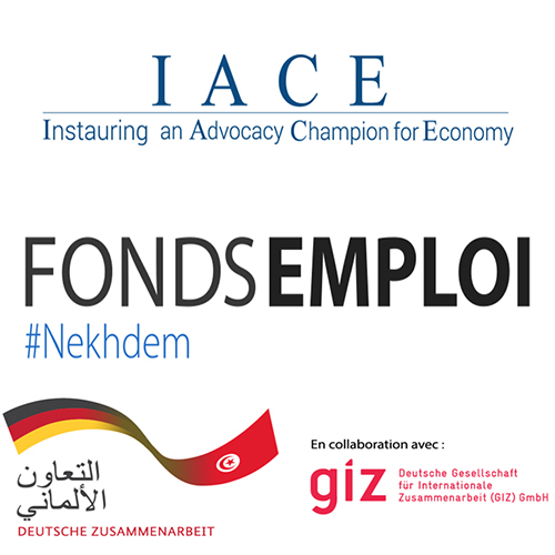 GIZ recrute des conseillers pour « Toumouh Job Centers  » à Kairouan, Sidi Bouzid et Gafsa