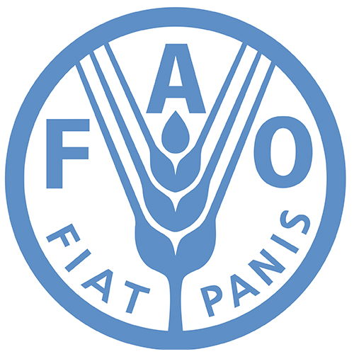 FAO recrute un(e) assistant(e) administratif(ve) de projet