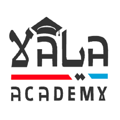 (Offre en anglais ) YaLa Academy lance un appel à candidature pour YaLa Citizen Journalism program