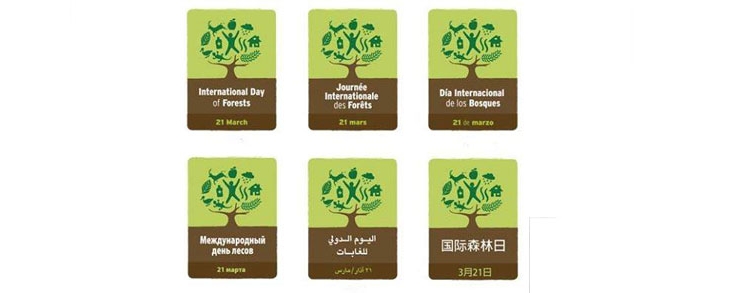 Célébrons ensemble la journée internationale des forêts