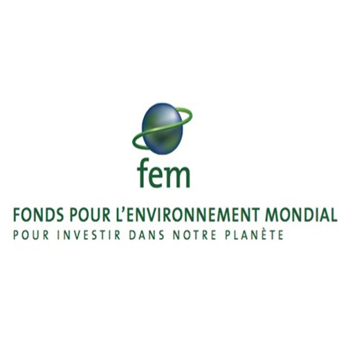Le Fonds pour l’Environnement Mondial recrute un(e) Coordinateur(trice) National(e)