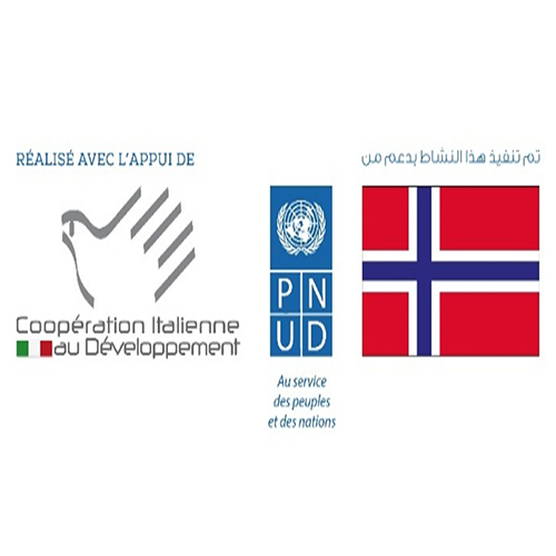 le PNUD lance un appel à participation pour un atelier de réflexion sur la création d’un centre de ressources associatives à Djerba – Houmt Souk