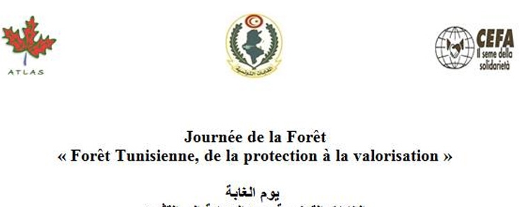 « La Journée de la Forêt »