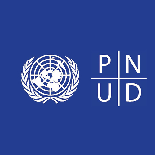 PNUD TUNISIA recrute un(e) Consultant(e) pour l&rsquo;élaboration d&rsquo;un guide du déclarant de patrimoine et d&rsquo;intérêts
