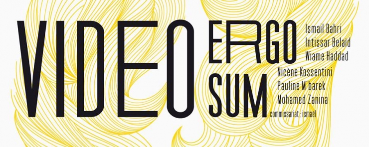 VIDEO ERGO SUM, une exposition d&rsquo;art vidéo