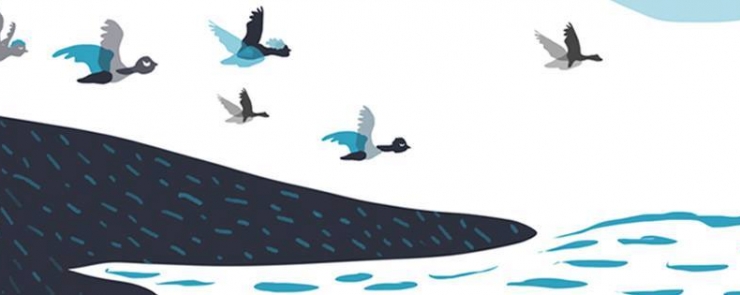 BD Art d&rsquo;Asile – رسوم فن اللجوء