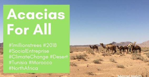 Journée de plantation à Menzel Habib, Gabes, Tunisie