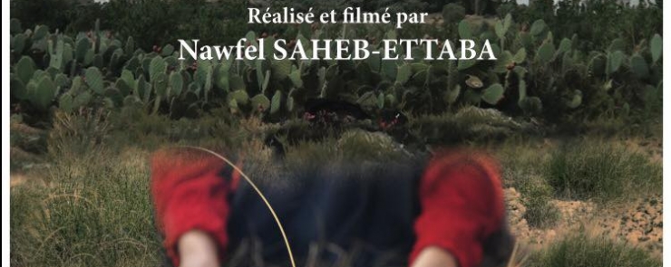 Projection « Les tisseuses du Chaambi »