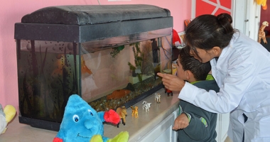 L’inclusion des jeunes en situation de handicap, un rêve qui devient réalité..