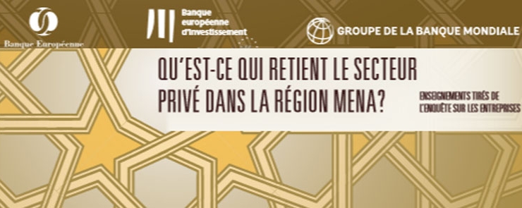 Le Développement du secteur privé dans la Région MENA