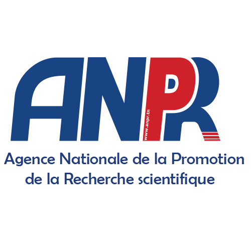 Une équipe d’Experts thématiques et d’un expert en analyse des données-ANPR
