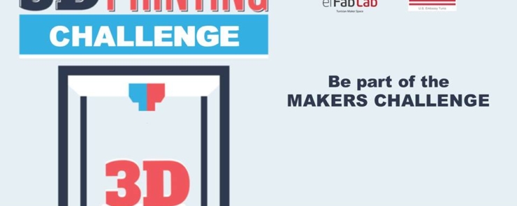 3D Printing Challenge