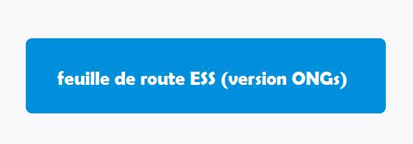 Atelier pour aboutir à une feuille de route ESS (version ONGs)