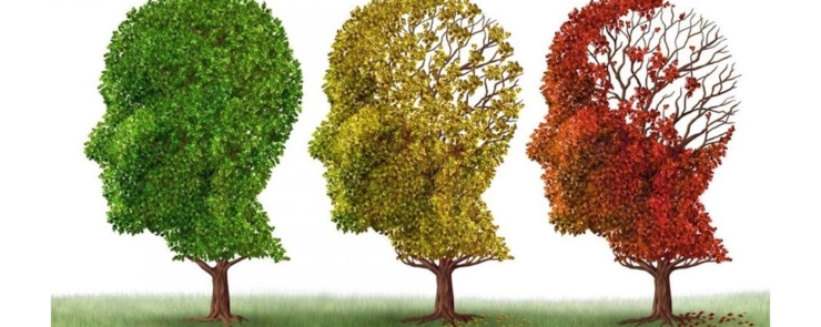 Actualités dans la Maladie d&rsquo;Alzheimer