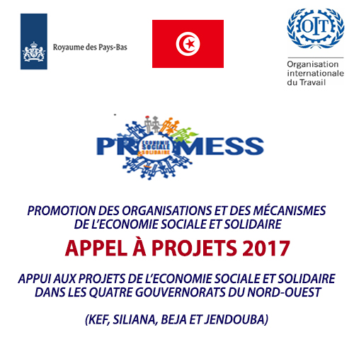Le Ministère de la Formation Professionnelle et de l&rsquo;Emploi en partenariat avec l&rsquo;Organisation internationale du Travail (OIT), lance quatre appels à projets au profit des associations de Siliana