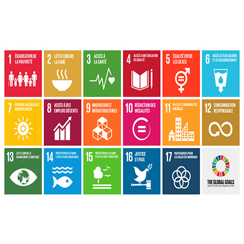 Les Nations Unies lancent un appel à participation pour une journée de sensibilisation aux Objectifs de Développement Durables à travers des « SDG Camps » (camps ODD)