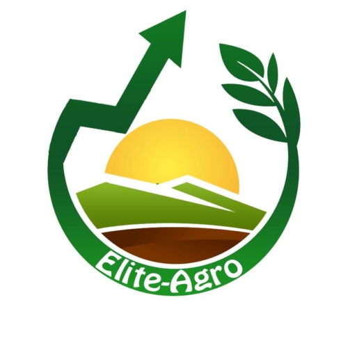 Association des Jeunes Ingénieurs Tunisiens d&rsquo;Elite Agro