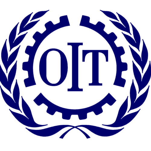 Appel d&rsquo;offres – L’Organisation Internationale du Travail (OIT)