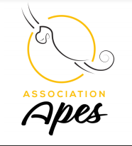 APES cherche un(e) assistant(e) de projet