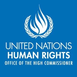 l&rsquo;UNHCHR recrute un  RSD Associate
