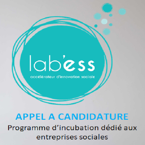 Le Lab’ess lance un appel à candidatures pour  son programme d’incubation dédié aux entreprises sociales