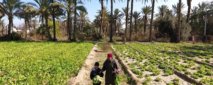 Avant-première : La Révolution est Là de Teycir Ben Naser