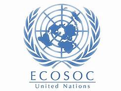 Appel à candidature pour les ONG tunisiennes souhaitant obtenir le statut consultatif auprès de l’ECOSOC