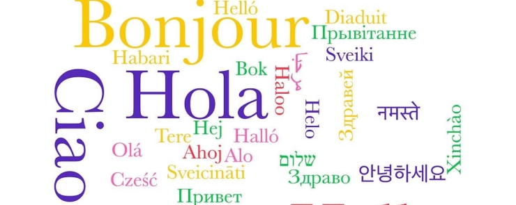 Let’s Chat with George! Learning Languages