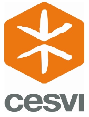 (Offre en anglais) CESVI recrute Financial and Liaison Officer (National position for Tunisian)