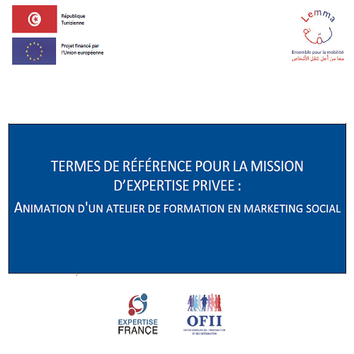 Expertise France et l’Office Français de l’Immigration et de l’Intégration (OFII) lancent un appel à candidatures pour une mission d’expertise privée : Animation d&rsquo;un atelier de formation en marketing social